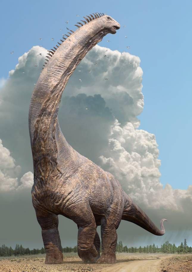 Paleontogists have discovered which creature created the largest recorded dinosaur foot