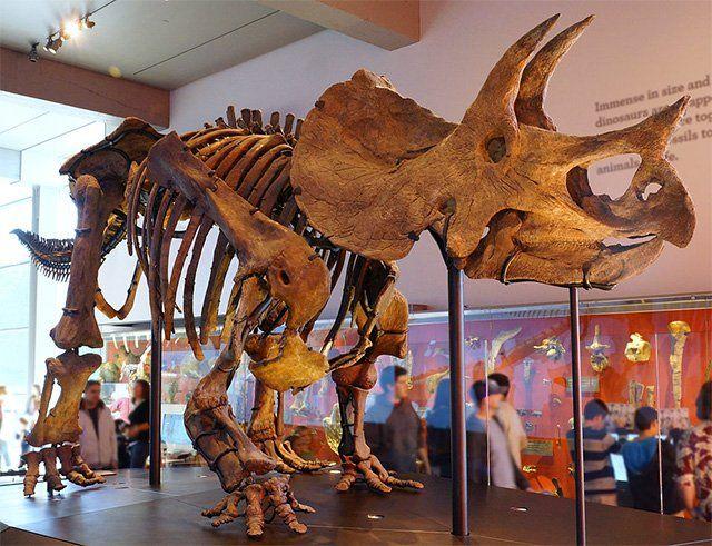 Top 8 Destinations in North America for Dinosaur Lovers _ This West Coast Mommy
